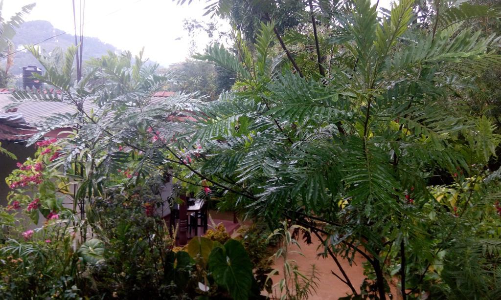 Mama Cottage เอลลา ภายนอก รูปภาพ